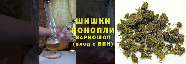 ПСИЛОЦИБИНОВЫЕ ГРИБЫ Арсеньев