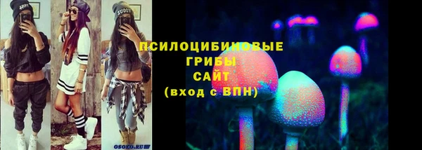 ПСИЛОЦИБИНОВЫЕ ГРИБЫ Арсеньев