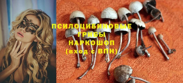 ПСИЛОЦИБИНОВЫЕ ГРИБЫ Арсеньев