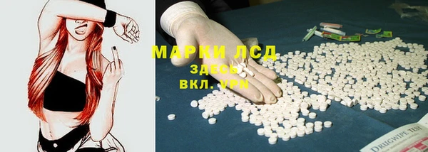 ПСИЛОЦИБИНОВЫЕ ГРИБЫ Арсеньев