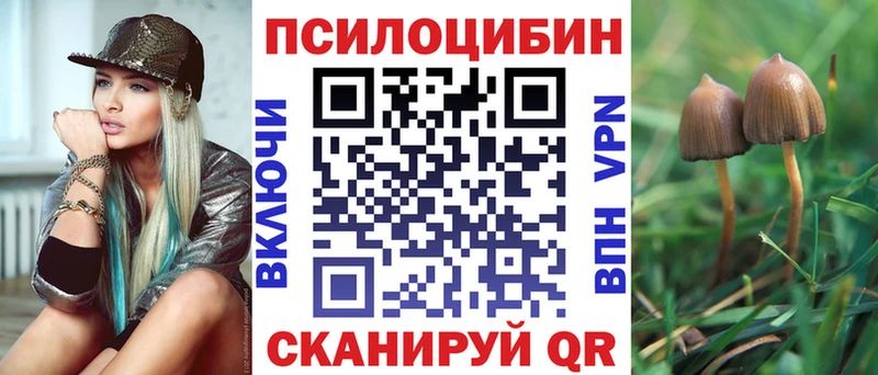 Псилоцибиновые грибы Psilocybe  Полярные Зори 
